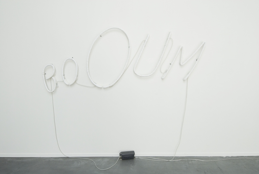 http://www.brognon-rollin.com/files/gimgs/3_008collectiontheplugboumfracpc.jpg