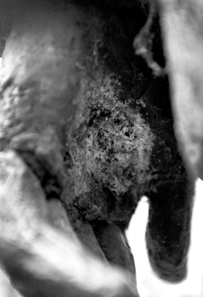 http://www.brognon-rollin.com/files/gimgs/69_francois-mauriac.jpg